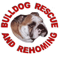 Bulldog rescue and rehoming trust