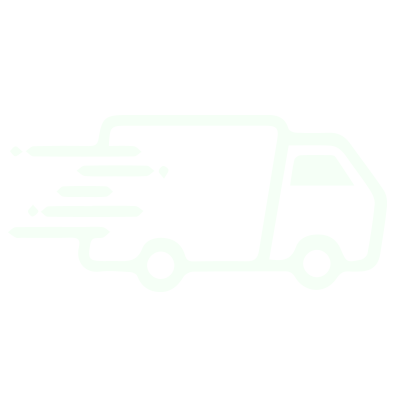 Next_Day_Delivery_Icon_1