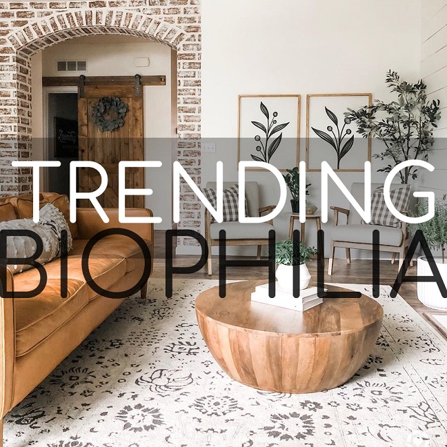 Biophilia: Bringing The Outside In