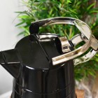 Handle on the Top of the Watering Can