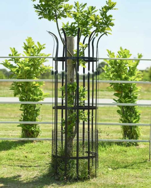 Wrought Iron "Sandridge" Black Tree Guard - Large Wrought Iron "Sandridge" Black Tree Guard - Large