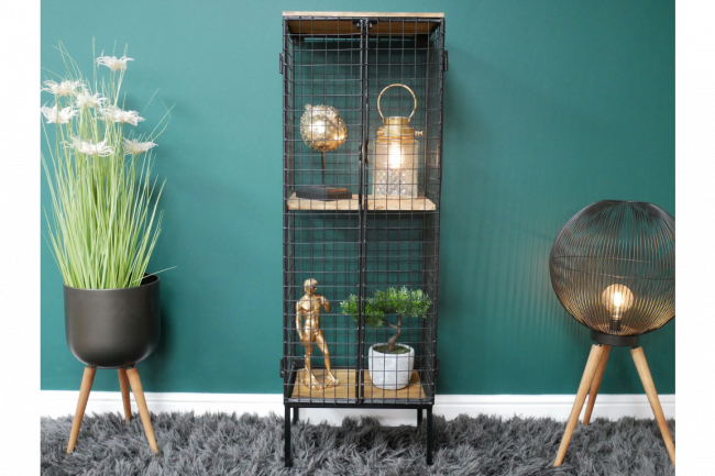 Freestanding Caged Storage Cabinet 