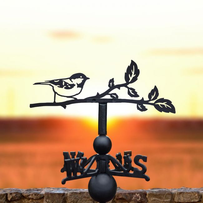 Great tit weathervane at sunset Great tit weathervane at sunset