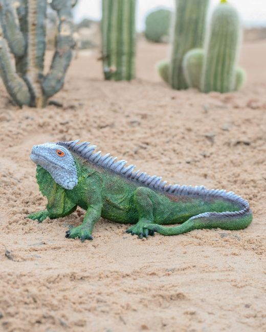"Ignatius" the Iguana Cast Resin Garden Sculpture stood on sand