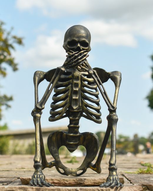 "Santiago" the Speak No Evil Skeleton "Santiago" the Speak No Evil Skeleton