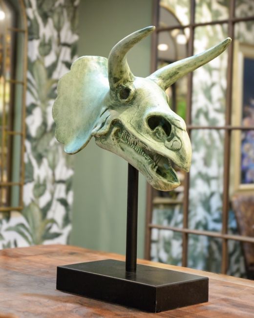 "Relic" Cast Aluminium Triceratops Skull
