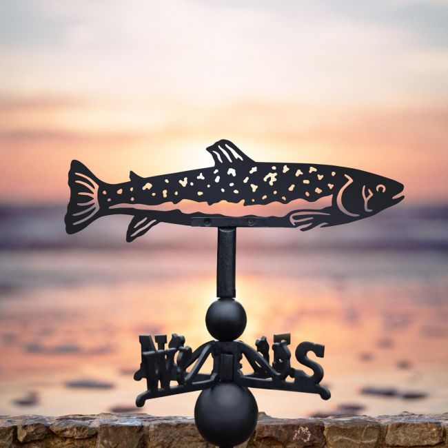 Trout fish weathervane at the beach Trout fish weathervane at the beach