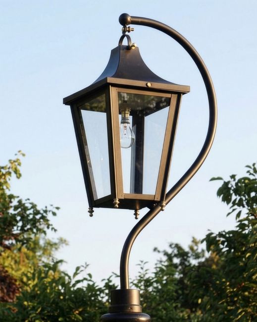 Black Swan Neck Lantern 84cm Digital Illustration Black Swan Neck Lantern 84cm Digital Illustration