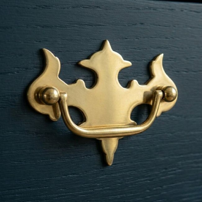 A Fleur de Lys Design Polished Brass Cabinet Handle Mounted on a Royal Blue Kitchen Cabinet - Digital Illustration