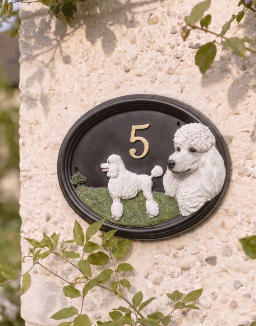 A Number 5 Poodle House Number Sign in a Hand Painted Finish Mounted on a Cream Coloured Cottage Wall - Digital Illustration
