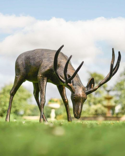 "Roe" Grazing Buck Sculpture in Situ "Roe" Grazing Buck Sculpture in Situ