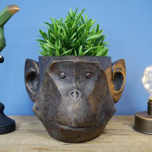 Monkey Header Planter in Situ in the Home