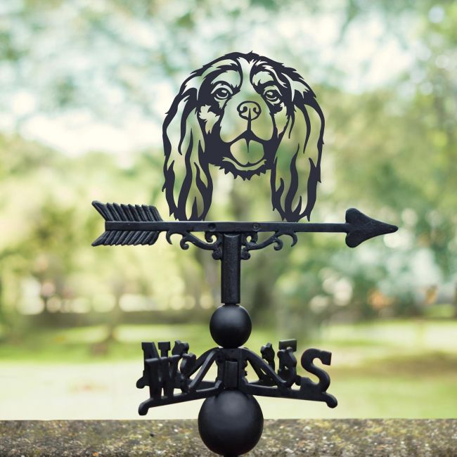 Cavalier King Charles Spaniel Dog Weathervane in Situ Outside Cavalier King Charles Spaniel Dog Weathervane in Situ Outside