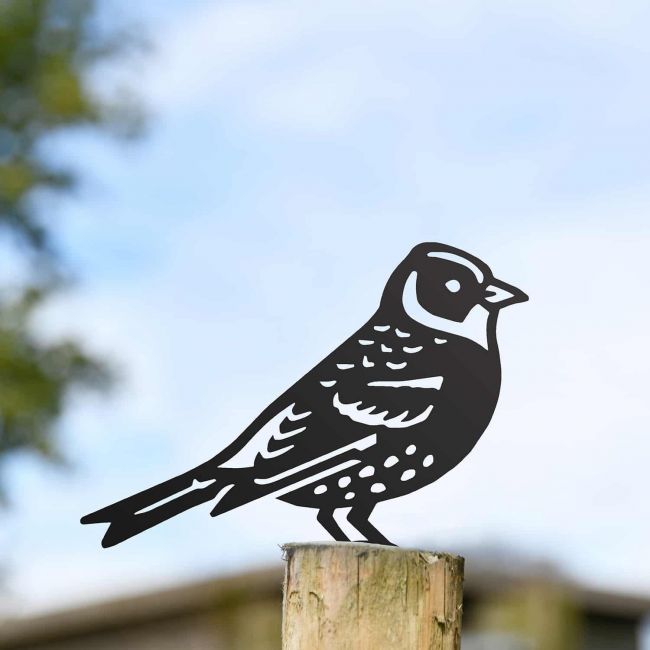 Black Brambling Steel Fence Topper Black Brambling Steel Fence Topper