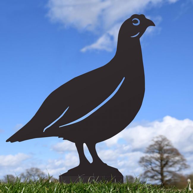 Black Red Grouse Silhouette in Situ Black Red Grouse Silhouette in Situ
