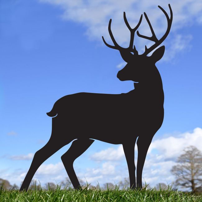 Black Stag Silhouette in Situ Black Stag Silhouette in Situ