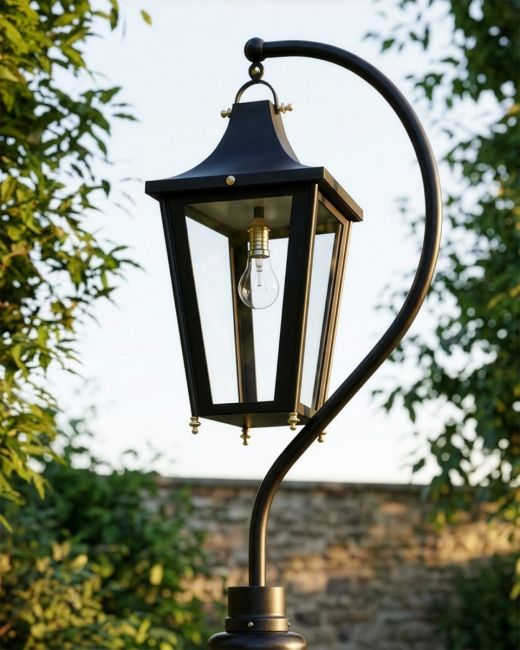 Black Swan Neck Lantern 91cm Digital Illustration Black Swan Neck Lantern 91cm Digital Illustration