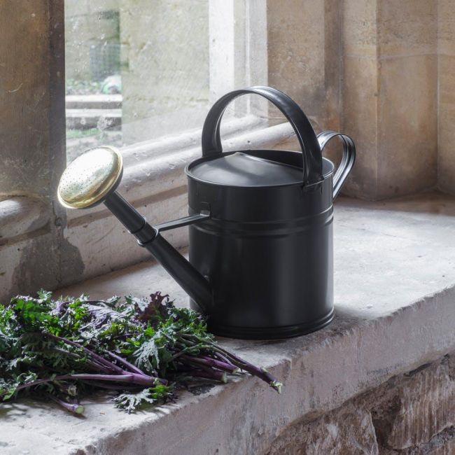 Black Traditional Watering Can in Situ Black Traditional Watering Can in Situ