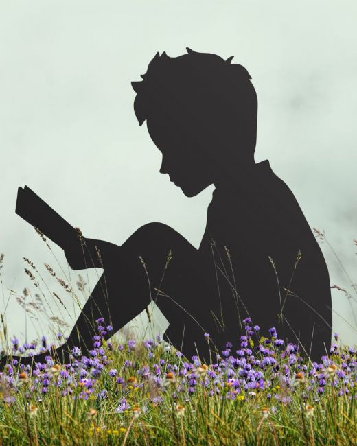 Boy With Book Silhouette sitting in lavender field Boy With Book Silhouette sitting in lavender field