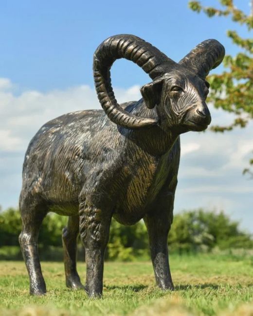 Brushed Black and Gold "Barley" Standing Ram Sculpture Brushed Black and Gold "Barley" Standing Ram Sculpture