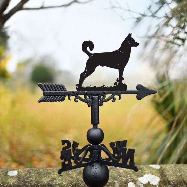 Canaan Dog Weathervane Canaan Dog Weathervane