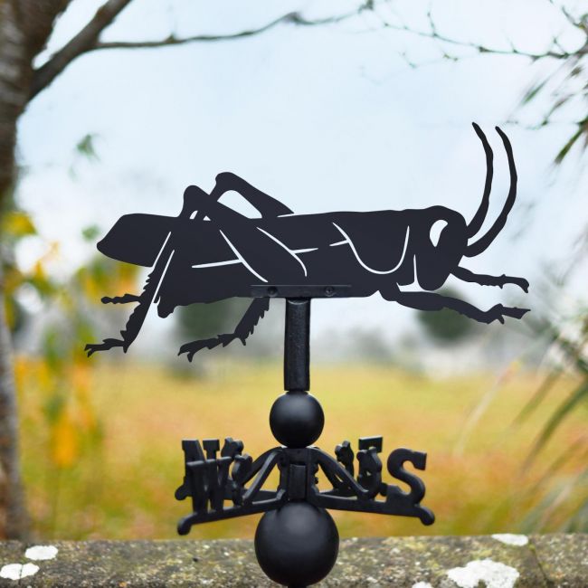 Cast Iron & Steel Grasshopper Weathervane Cast Iron & Steel Grasshopper Weathervane