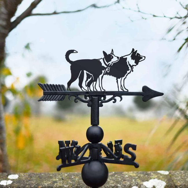 Cast Iron & Steel Pair of Border Collies Weathervane