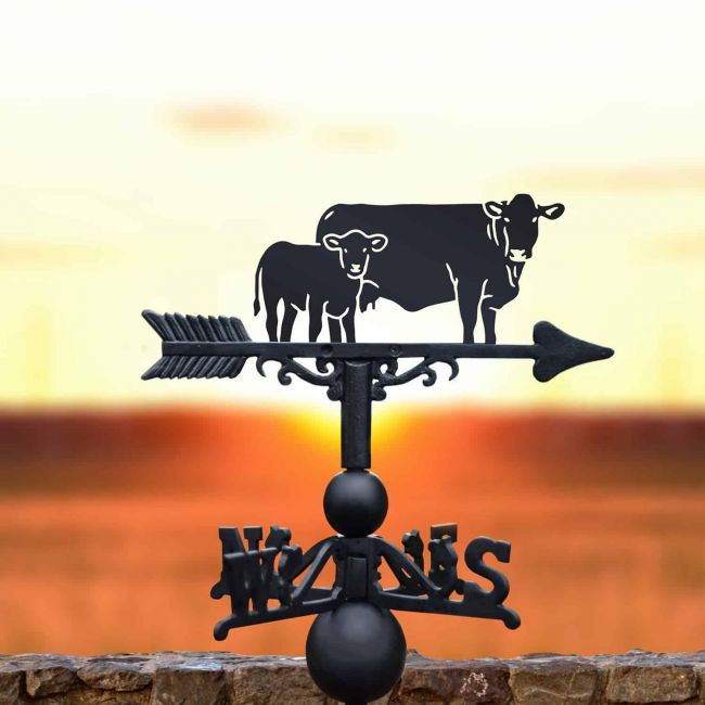 Cast Iron & Steel South Devon & Calf Weathervane Cast Iron & Steel South Devon & Calf Weathervane