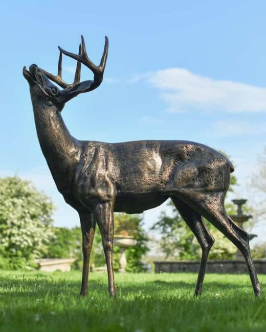 "Charles" the Bronze Buck Garden Sculpture "Charles" the Bronze Buck Garden Sculpture