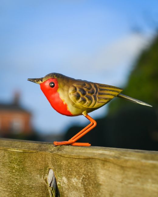 Charming Robin Steel Bird Sculpture Main