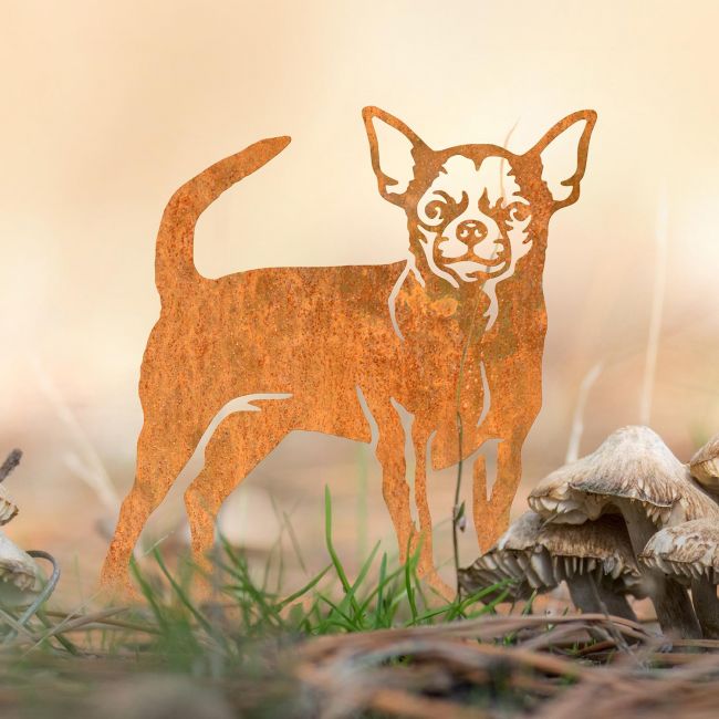 Staffordshire Bull Terrier Silhouette on Display in the Garden Staffordshire Bull Terrier Silhouette on Display in the Garden