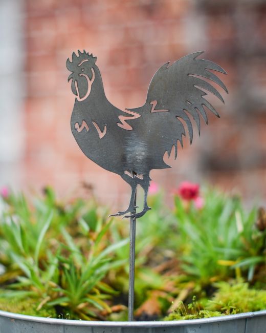 Cockerel Artistic Plant Pot Spike - Set of Two