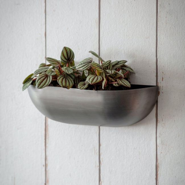 Contemporary Curved Wall Mounted Planter in Situ Contemporary Curved Wall Mounted Planter in Situ