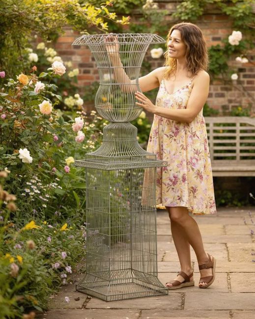 Digital Illustration of the "Millar House" Wire Planter in Situ in a Flowery Garden