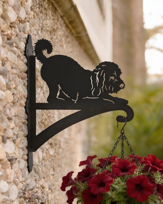 Digital Illustration of the Playful Cockapoo Iron Hanging Basket Bracket Mounted on Garden Wall