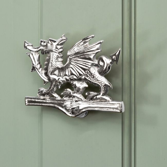 Bright Chrome Dragon door knocker on green door