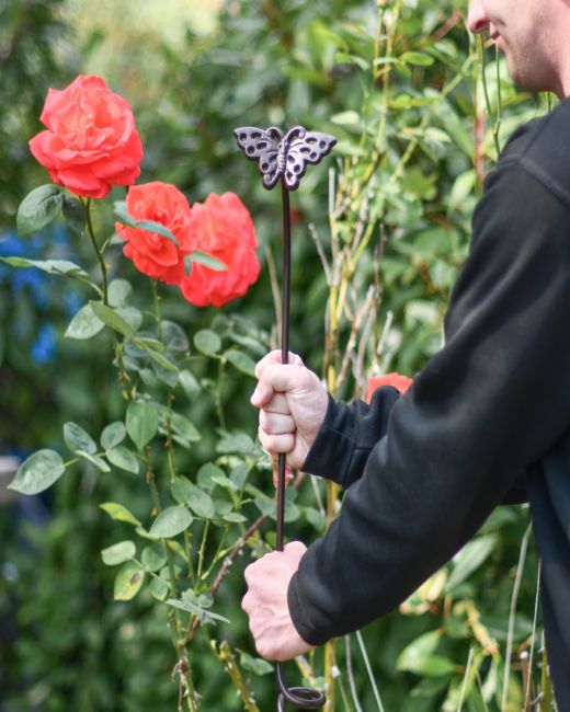 Butterfly Natural Steel Plant Support - 5FT Main