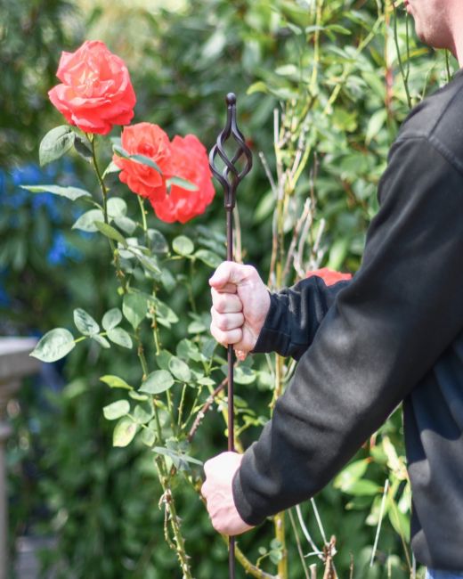 Spiral Knot Natural Steel Plant Support- 5FT Main 