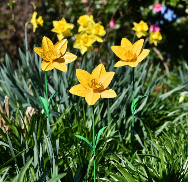 Everlasting Daffodil Garden Decoration Everlasting Daffodil Garden Decoration