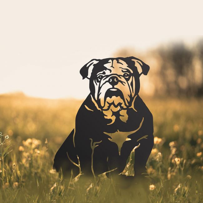 English Bulldog Silhouette in Situ in a Field English Bulldog Silhouette in Situ in a Field