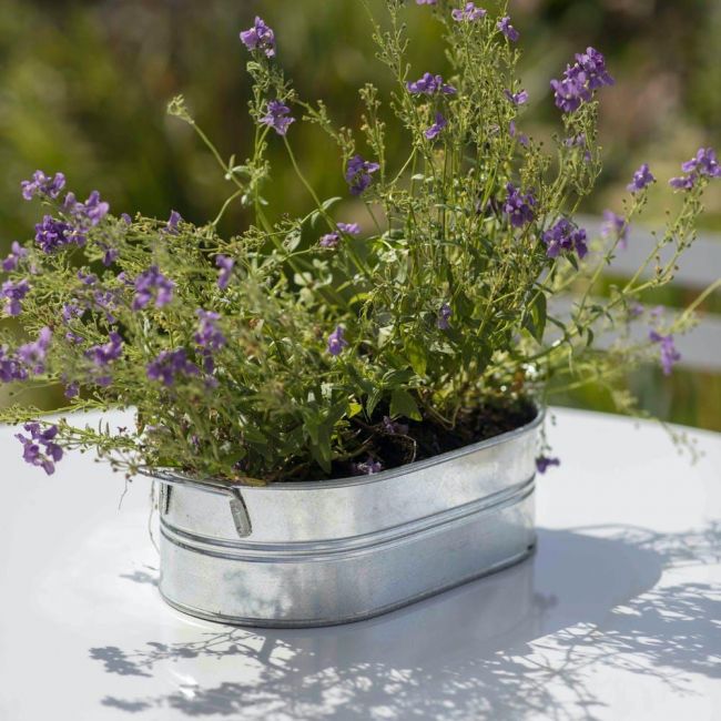 Galvanised Steel Trough Planter in Situ Galvanised Steel Trough Planter in Situ