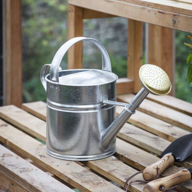Galvanised Traditional Watering Can in Situ Galvanised Traditional Watering Can in Situ