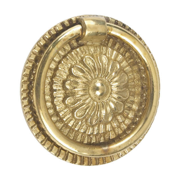 Sunflower Cabinet Handle Finished in Polished Brass Sunflower Cabinet Handle Finished in Polished Brass