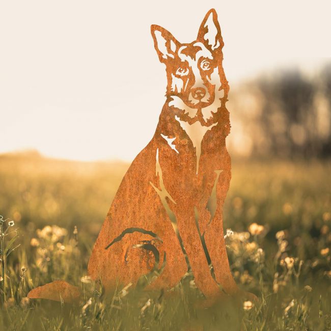 German Shepherd Silhouette in Situ in a Field German Shepherd Silhouette in Situ in a Field