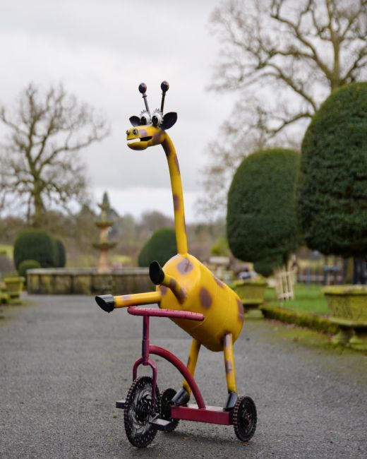 ‘Freewheeler” the Upcycled Metal Giraffe Garden Sculpture on a Tricycle main image ‘Freewheeler” the Upcycled Metal Giraffe Garden Sculpture on a Tricycle main image
