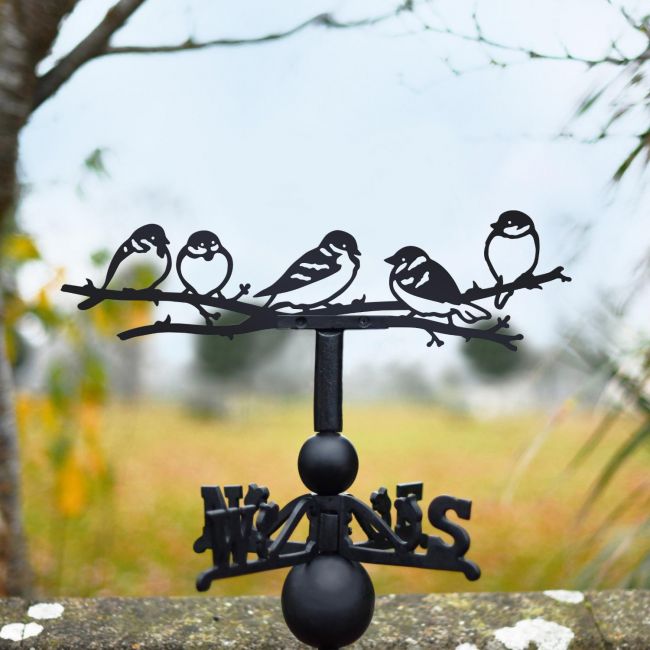 Group of sparrows weathervane in nature Group of sparrows weathervane in nature