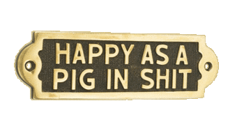 Happy As A Pig In Shit Happy As A Pig In Shit
