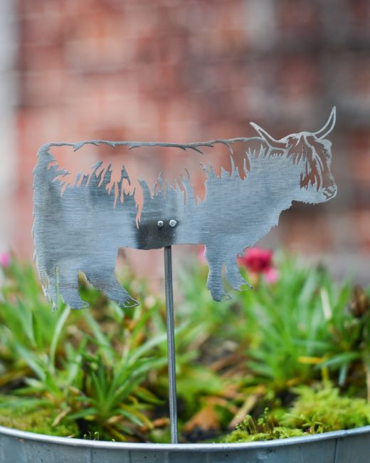 Highland Cow Artistic Plant Pot Spike - Set of Two