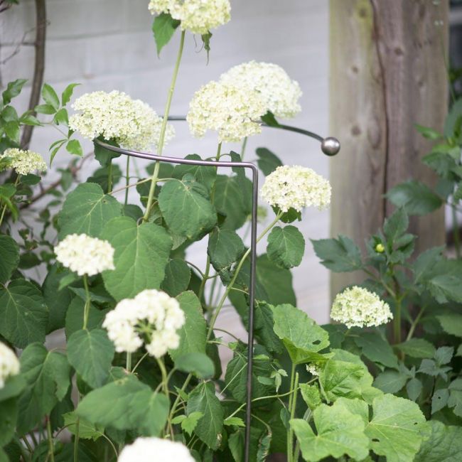 Hoop Steel Plant Support by Garden Trading in Situ Hoop Steel Plant Support by Garden Trading in Situ