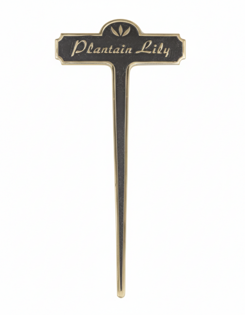 Plantain Lily Brass Garden Plant Sign Plantain Lily Brass Garden Plant Sign